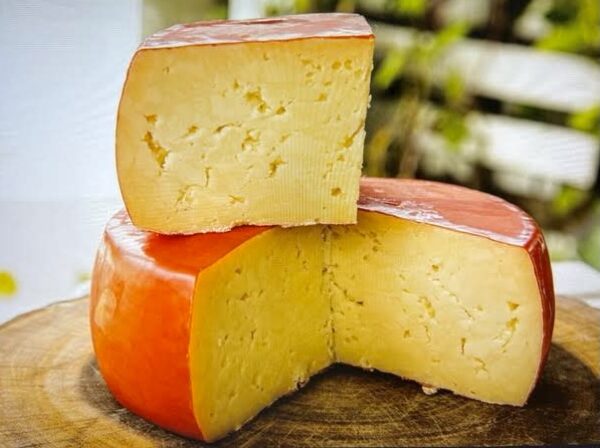 Montegrino Fontina Aged Cheese